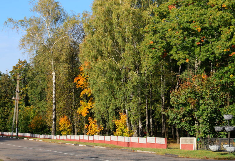 Порывистый ветер и мокрый снег ожидаются сегодня в Беларуси