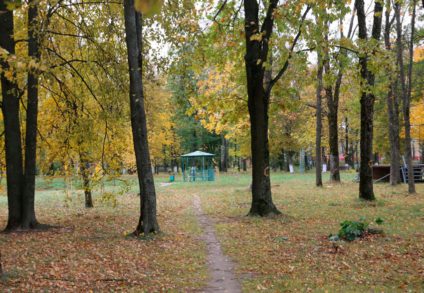 Народные приметы на 27 октября: по этой примете можно определить, каким будет лето 2024