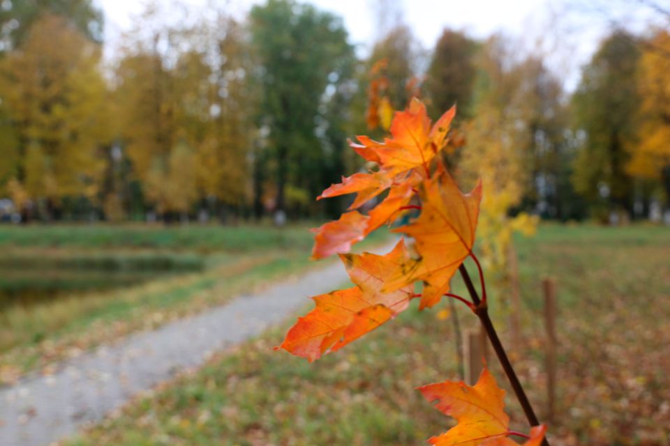 Народные приметы на 6 октября 2025 года: что нельзя делать в день Ираиды