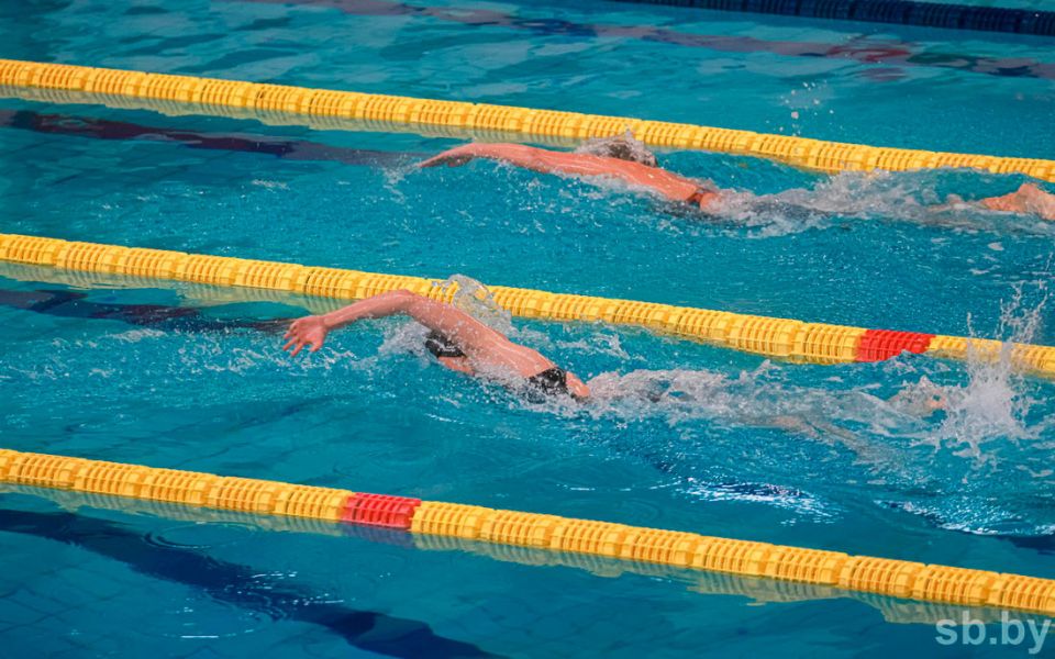 Международный турнир «Брестский спринт» соберет более 700 пловцов из Беларуси, России и Казахстана