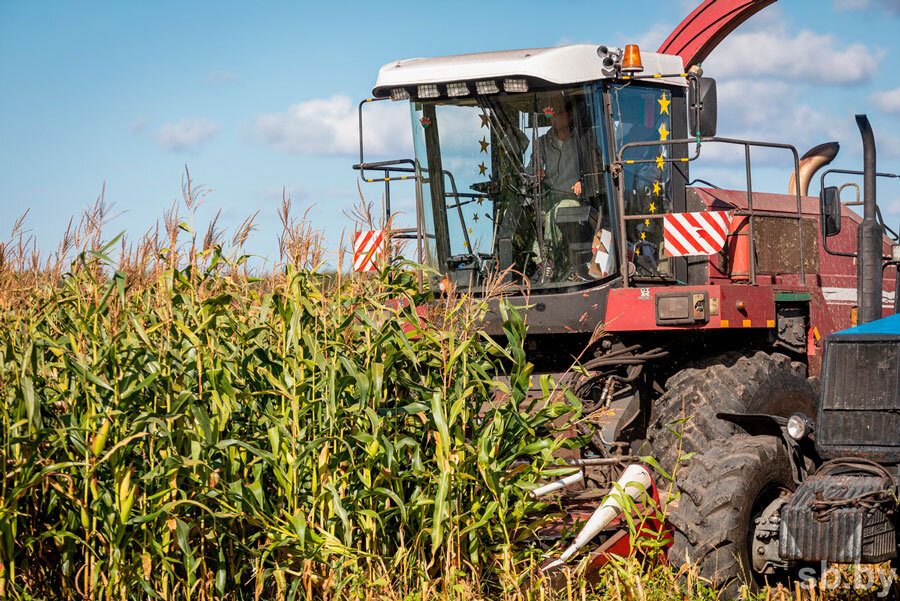 В Беларуси намолочено 9350,2 тыс. тонн зерна, включая рапс