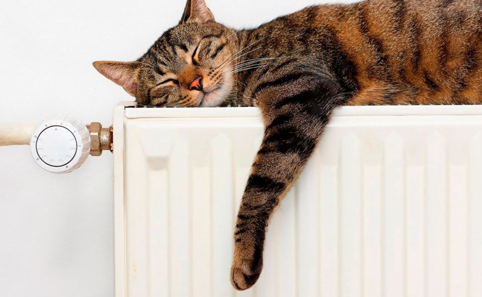 Время начинать отопительный сезон