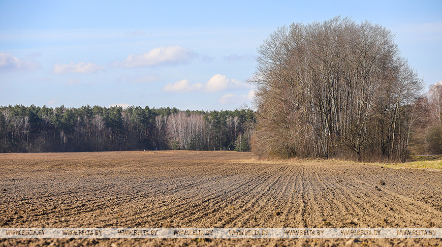 Минсельхозпрод: зяблевая обработка почвы проведена на более чем 80% площадей