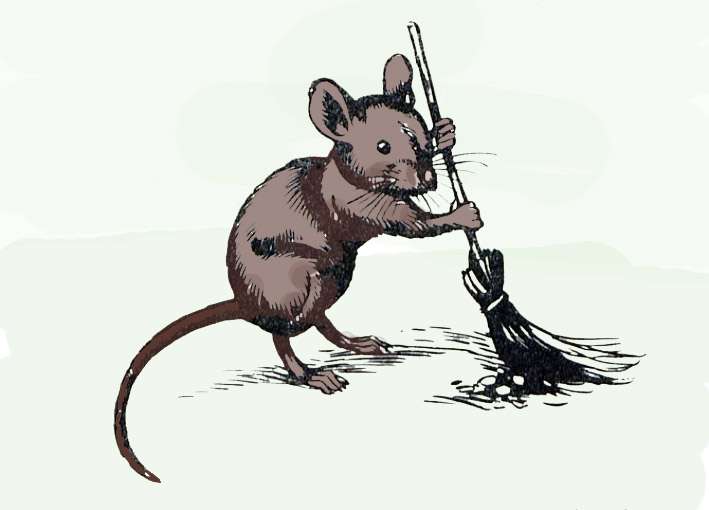 Мышь под веником