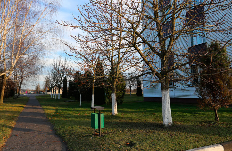 До +10°С ожидается сегодня в Беларуси