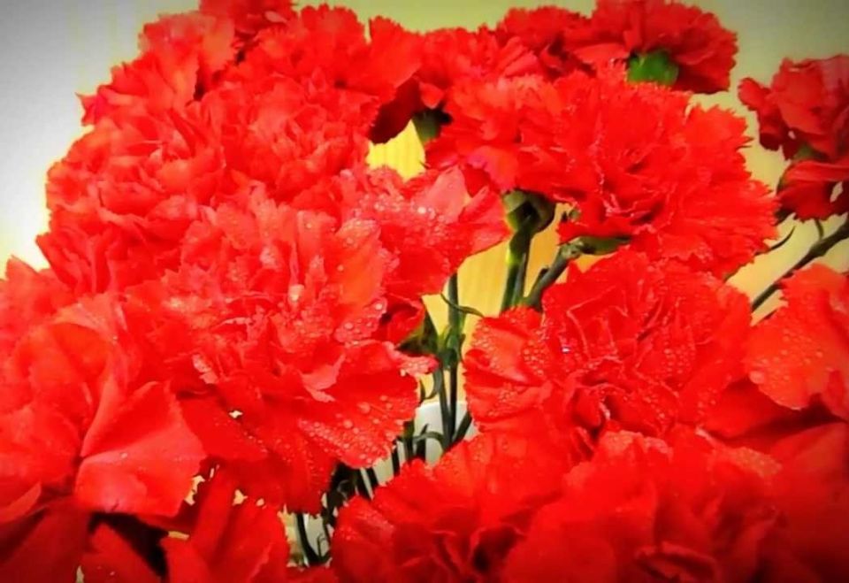 Руководство района поздравляет жителей Круглянщины с Днем Октябрьской революции