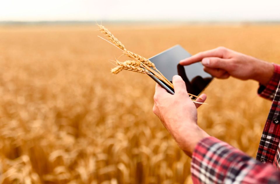 Вакансии в аграрном секторе имеются