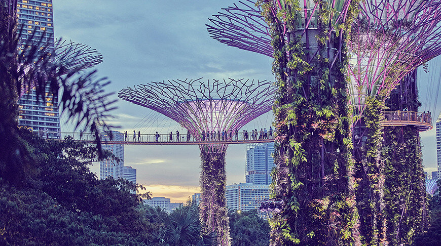 «Нейросеть» стало словом 2023 года по версии портала «Грамота.ру»