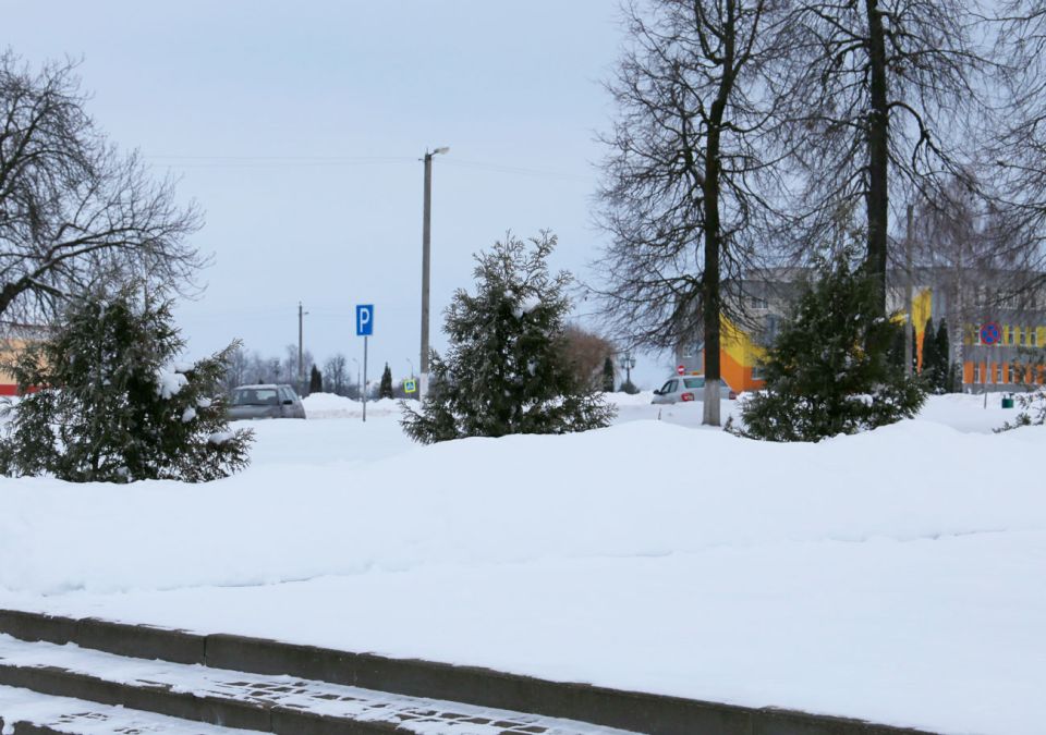 Парамонов день: что можно и нельзя делать 12 декабря 2023 года