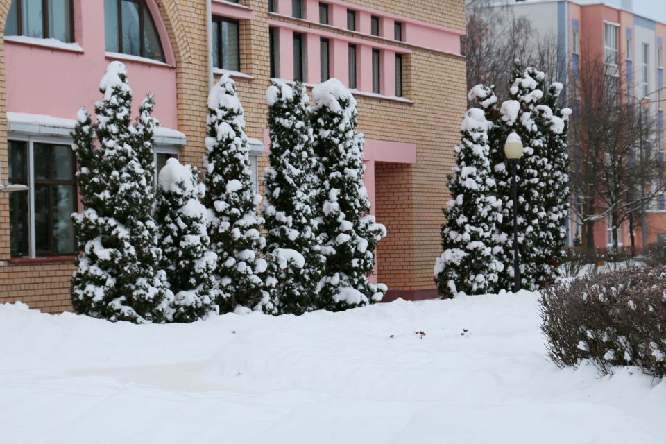 Погода 11 декабря: снег, туман и до +3 °С