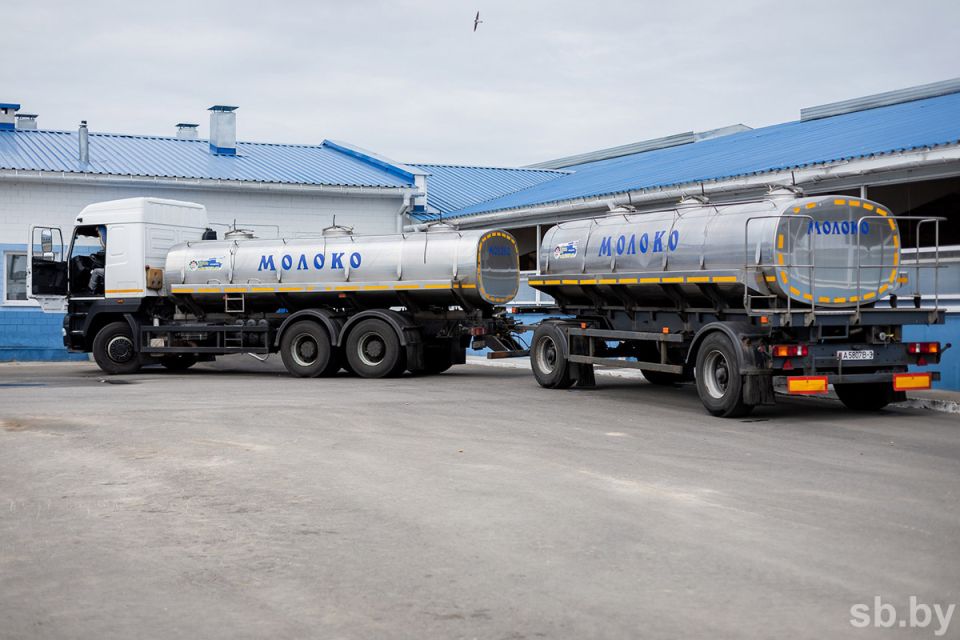 В Беларуси впервые надоят 8 миллионов тонн молока