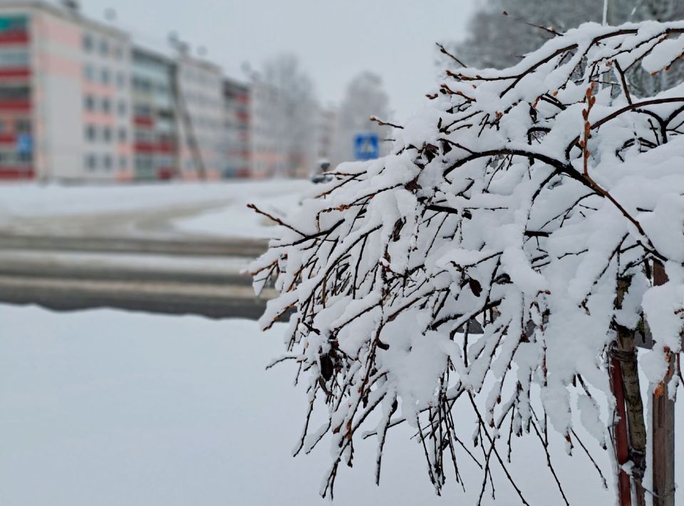 Наумов день: что нельзя делать 14 декабря 2023 года