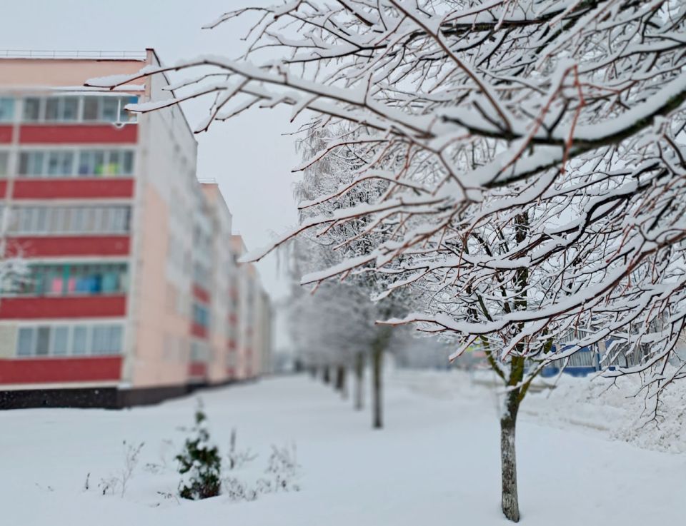 День Аввакума: что нельзя делать 15 декабря 2023 года