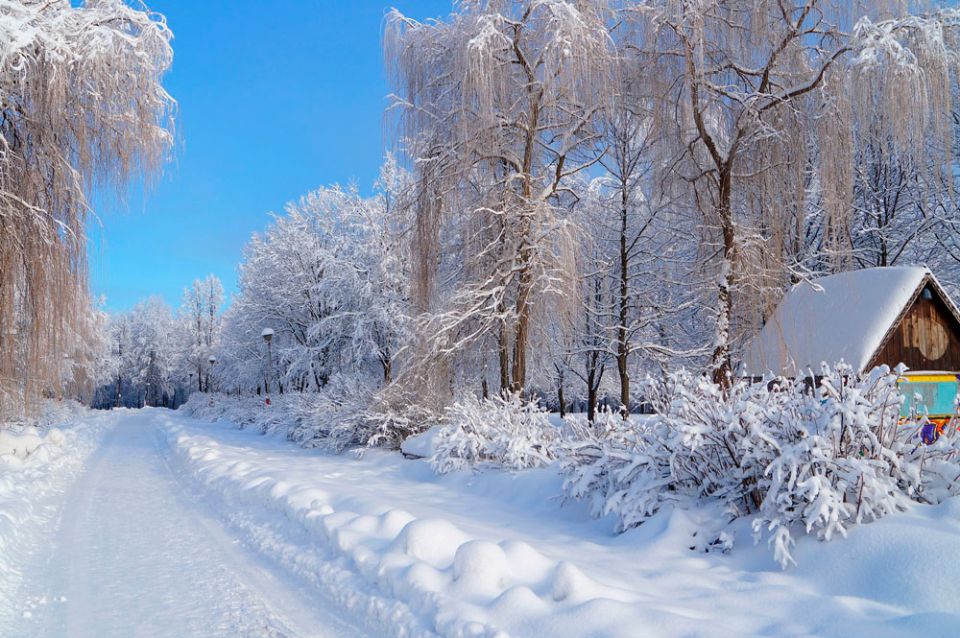 Прогноз погоды на 7 декабря: снег, гололедица и до -18 °С