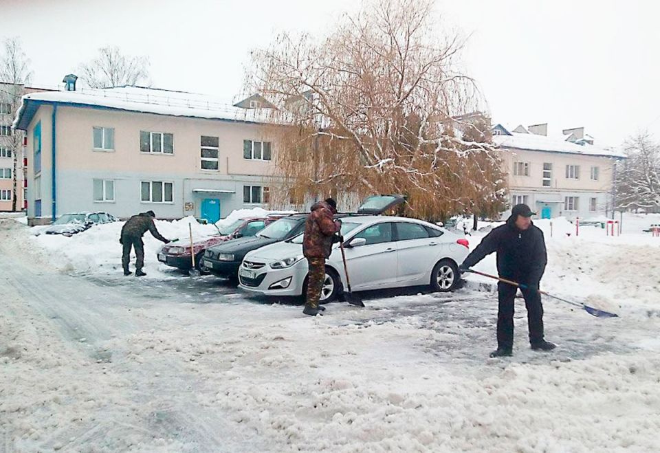 Подают пример своей хозяйственностью