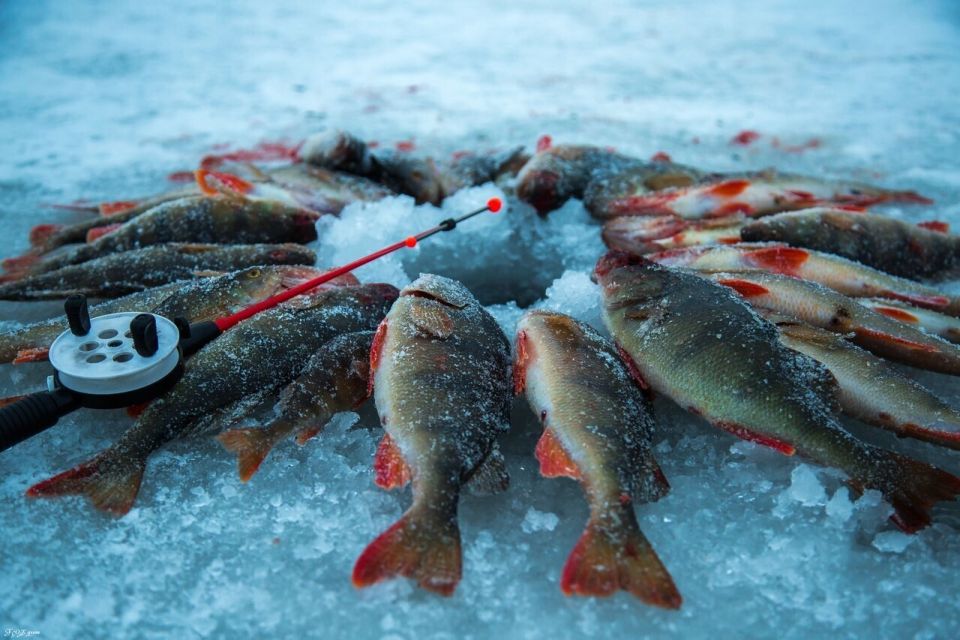 Хорошей зимней рыбалки. Зимняя рыбалка. Подледная рыбалка. Зимняя рыбалка на льду. Рыбалка фото.