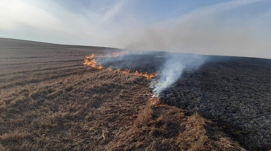С начала года в Могилевской области произошло более 100 пожаров сухой растительности