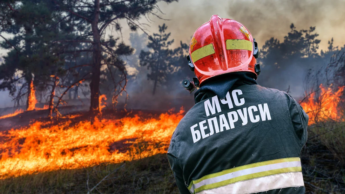 Спасатели Могилевской области за сутки потушили 15 пожаров в экосистемах