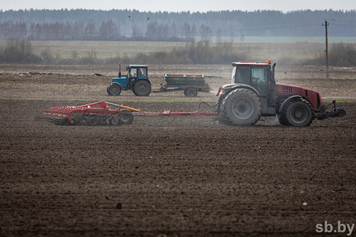 В Беларуси темпы сева в три раза превышают прошлогодние – посеяно 44 процента ранних зерновых