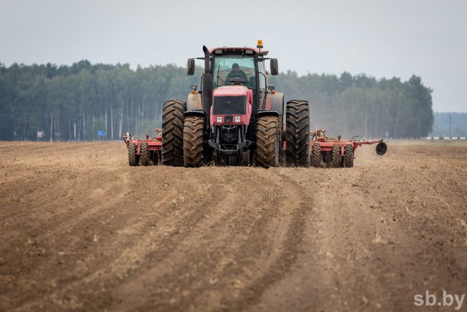 В Беларуси засеяно больше 6 тысяч гектаров льна-долгунца