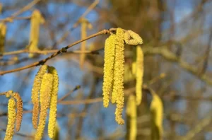 Зонты не прячем. Что готовит погода для белорусов 17 апреля