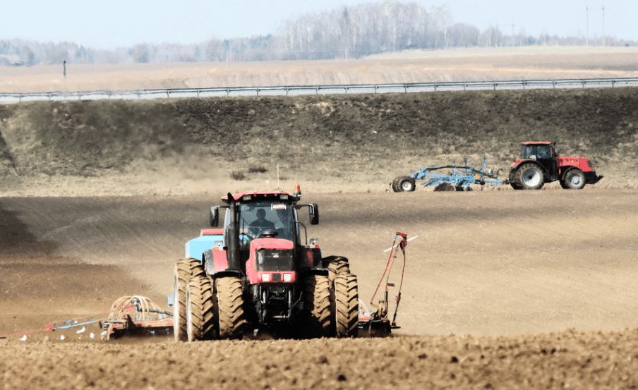 Кукурузу в Беларуси посеяли почти на 90% площадей