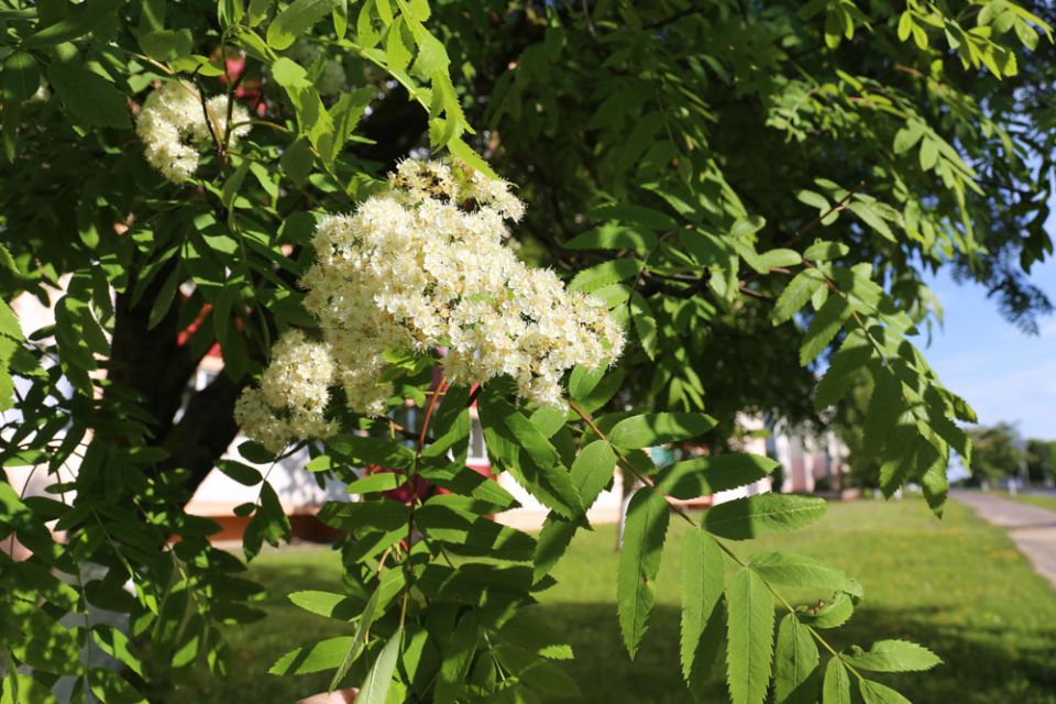 Похолодание, местами туман и дожди. Какой будет погода в Беларуси