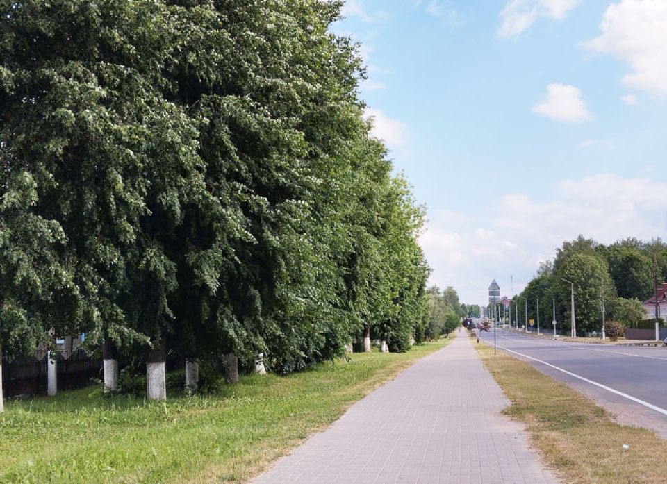 Сегодня в Беларуси ожидаются сильные дожди и до +28°С