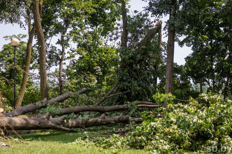 В Могилевской области продолжаются восстановительные работы после стихии