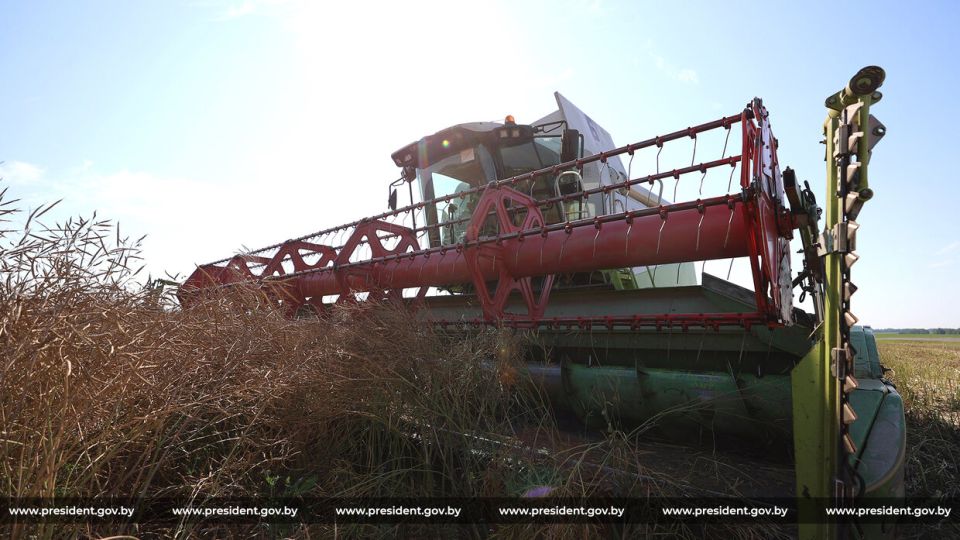Лукашенко на уборке требует придерживаться тактики: сейчас уже не по стратегии вопрос