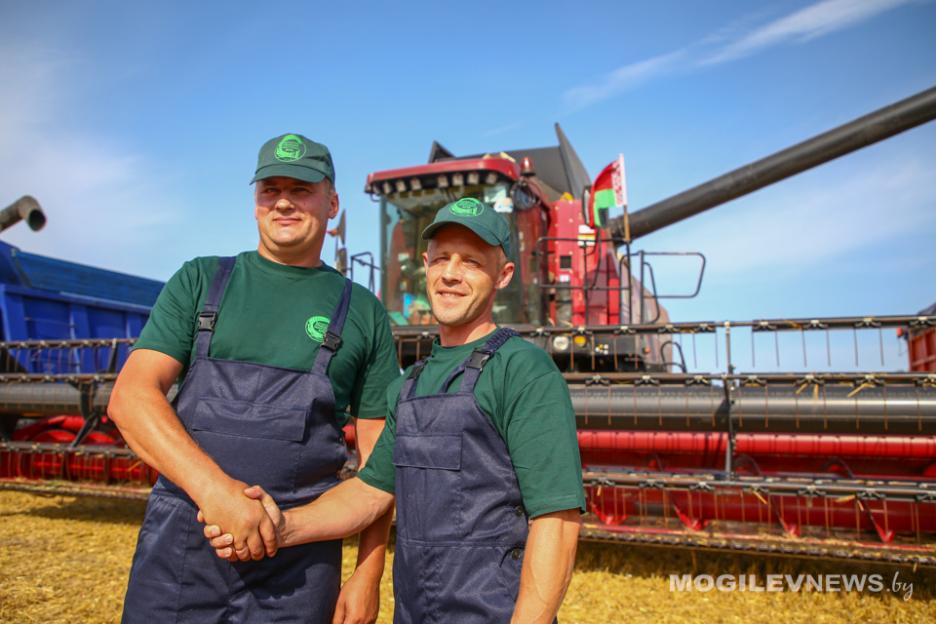 Первыми в Могилевской области тысячниками стали комбайнеры Григорий Бокач и Сергей Май из ЗАО «Серволюкс Агро». Фото