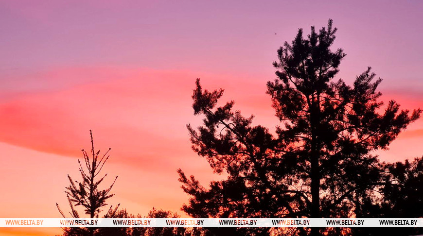 Красный уровень опасности из-за жары объявлен в Беларуси на 13 июля