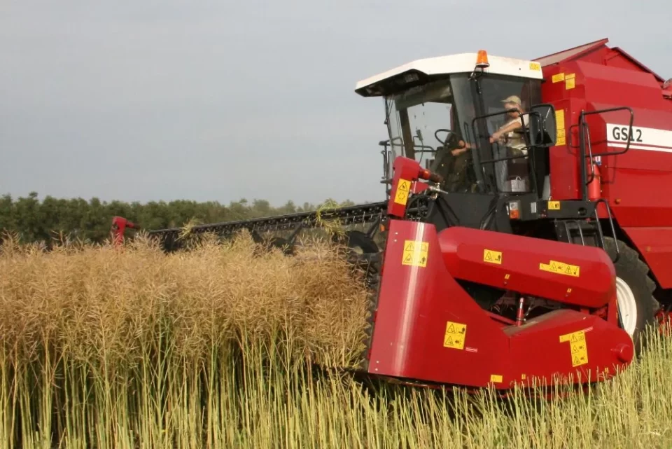 В Беларуси намолотили более 4,9 млн тонн зерна с учетом рапса