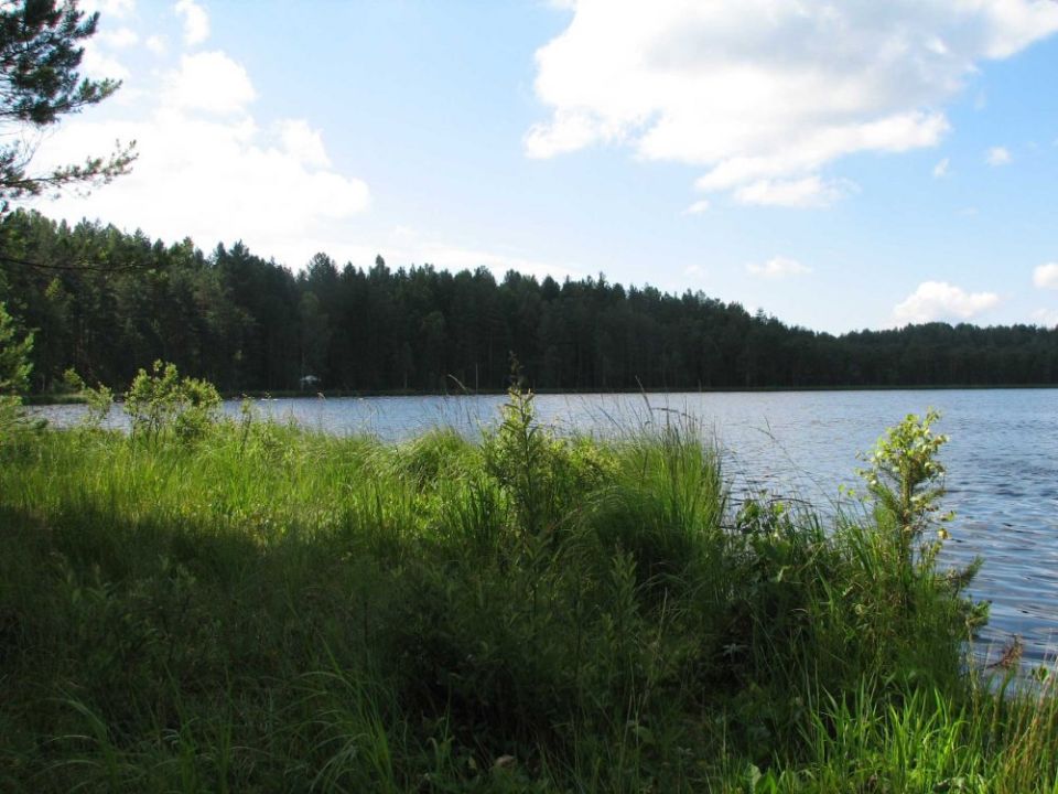 Прогноз погоды на 6 августа: кратковременные дожди и до 27 градусов тепла