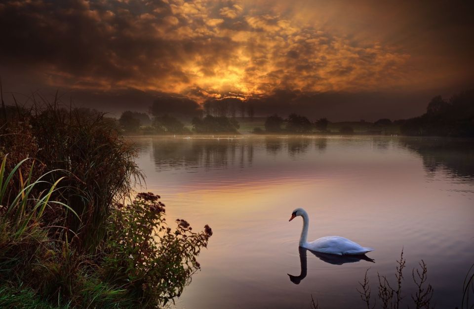 Оранжевый уровень опасности из-за жары объявлен в Беларуси на 24 августа