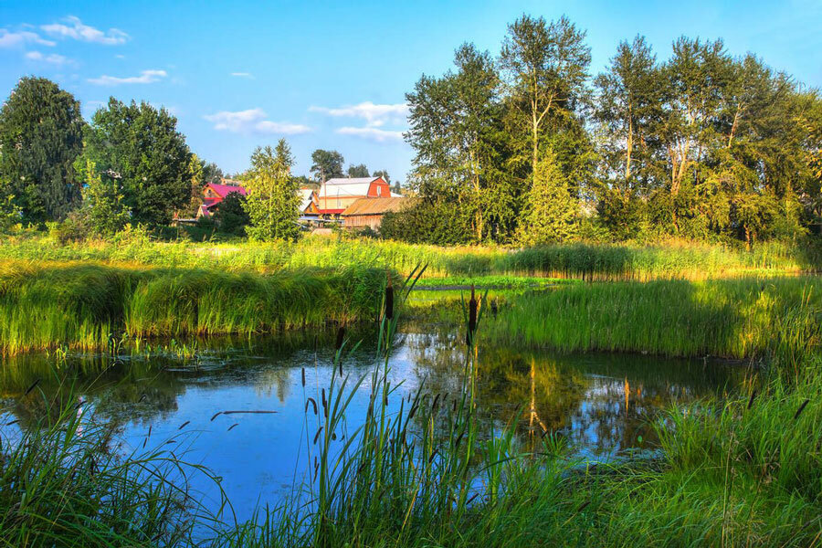 До +27°С будет сегодня в Беларуси