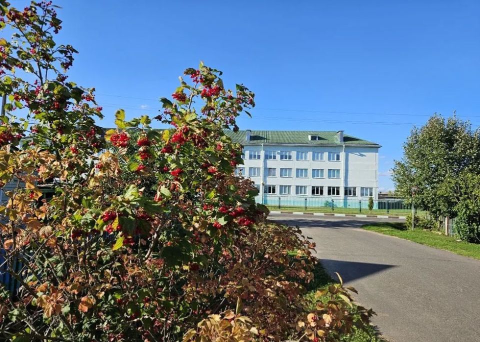 Жара до +33°С и сухая погода ожидаются сегодня в Беларуси