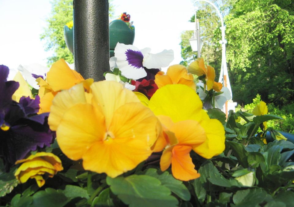 До +29°С будет сегодня в Беларуси