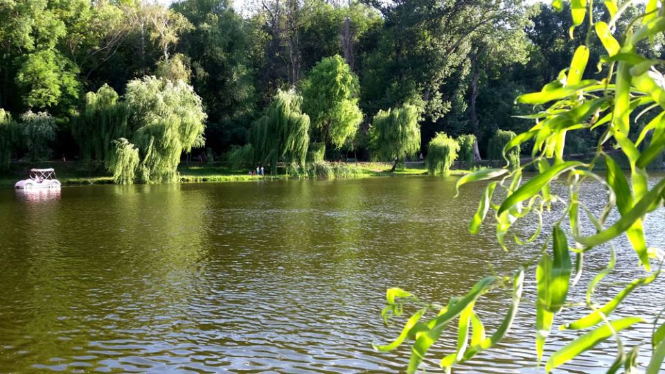 Погода 14 августа: преимущественно без осадков и до 27 градусов тепла