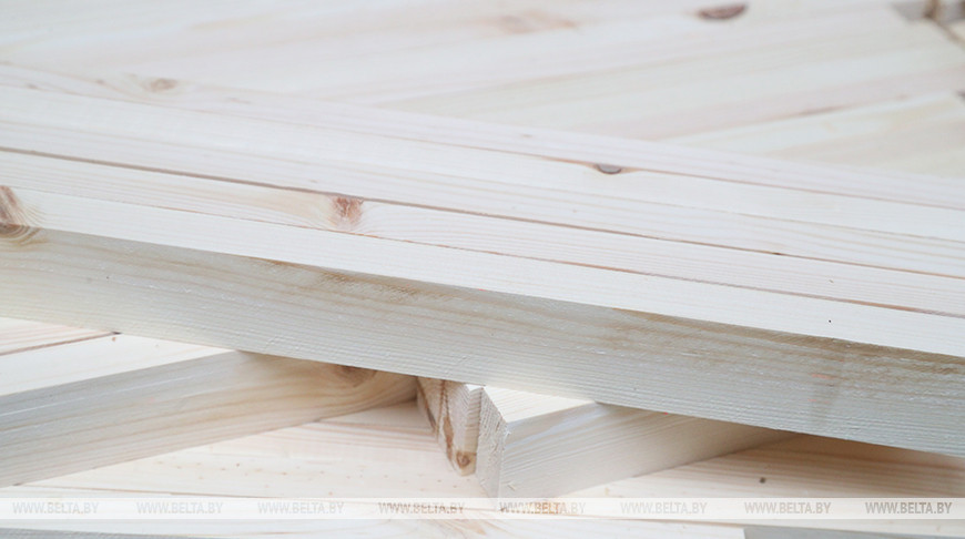 Лесхозы в августе нарастили объемы выручки почти на Br15 млн