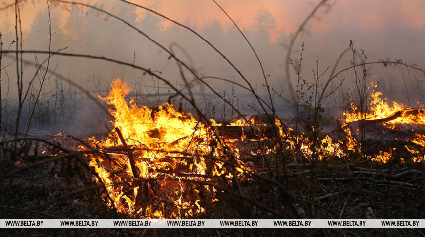В Могилевском районе загорелась сухая растительность