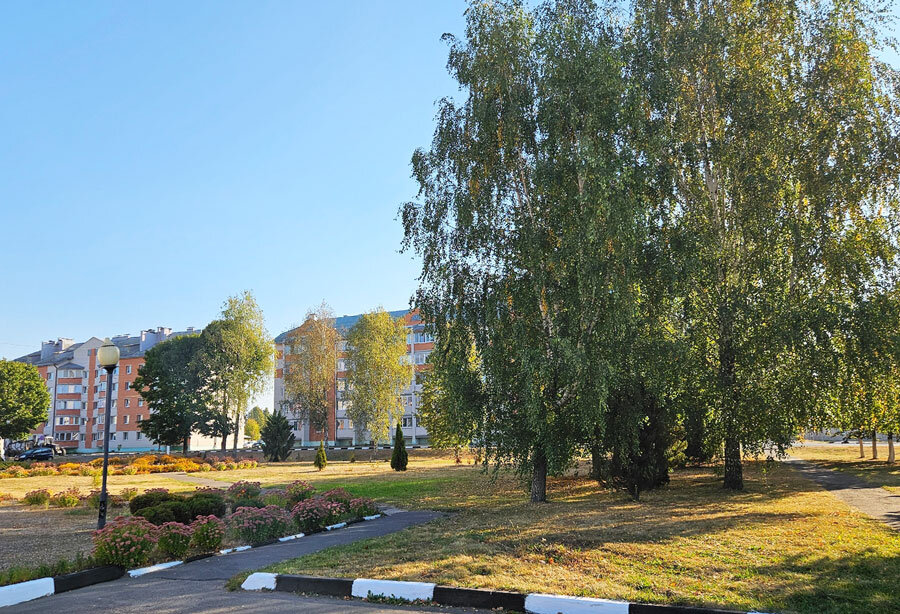 Красный уровень опасности в трех областях и кратковременные дожди прогнозируются в Беларуси