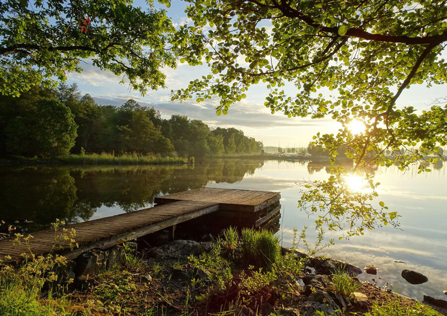 В Беларуси 2 сентября из-за высоких температур объявлен оранжевый уровень опасности