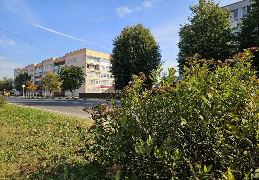 Сегодня в Беларуси будет малооблачно и без осадков