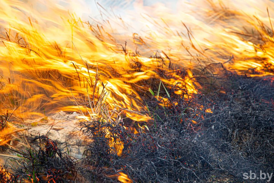 В Калинковичском районе при ночном пожаре сгорело 75 тонн соломы