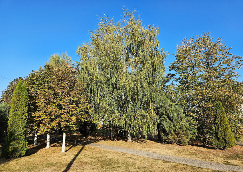 Теплая, местами с дождями и грозами погода ожидается в Беларуси 11 сентября