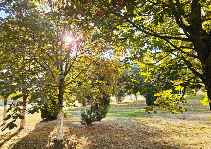 До +25°С и без осадков прогнозируется в Беларуси