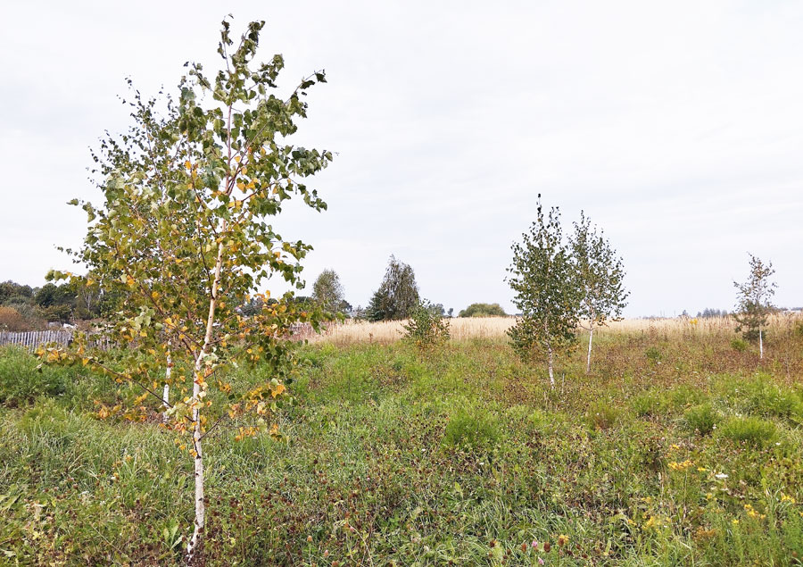 В каждом мгновении осени есть частичка чего-то прекрасного