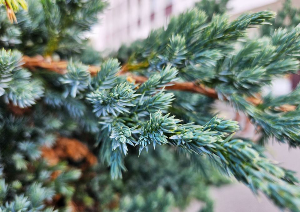 Облачно, тепло, но с небольшими дождями будет сегодня в Беларуси