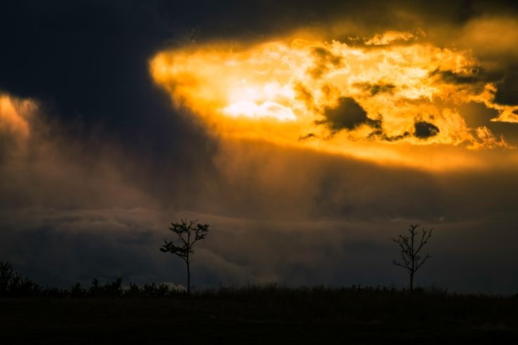 На Земле произошла очередная сильная магнитная буря